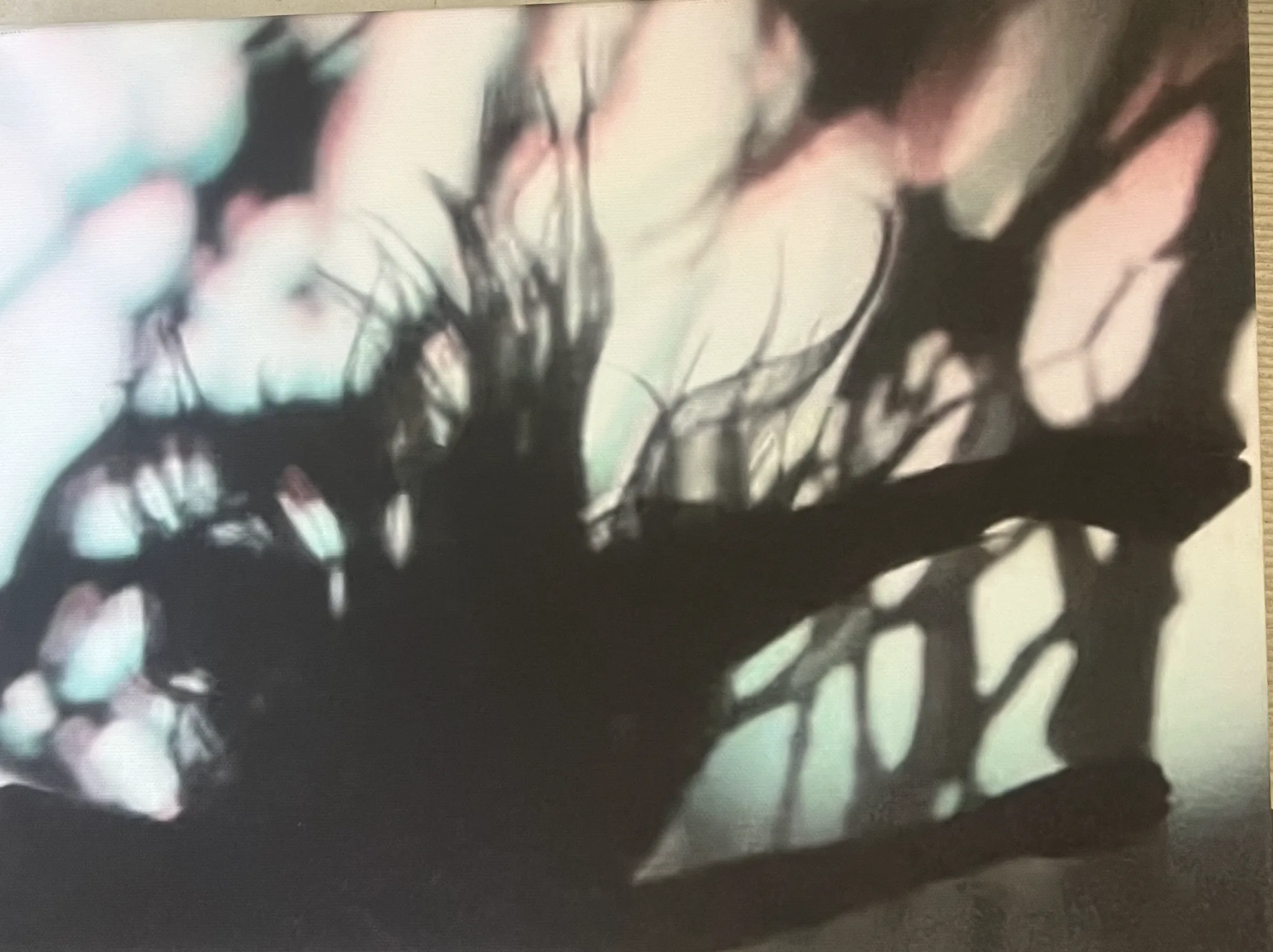 Asleep in a Field of Blue