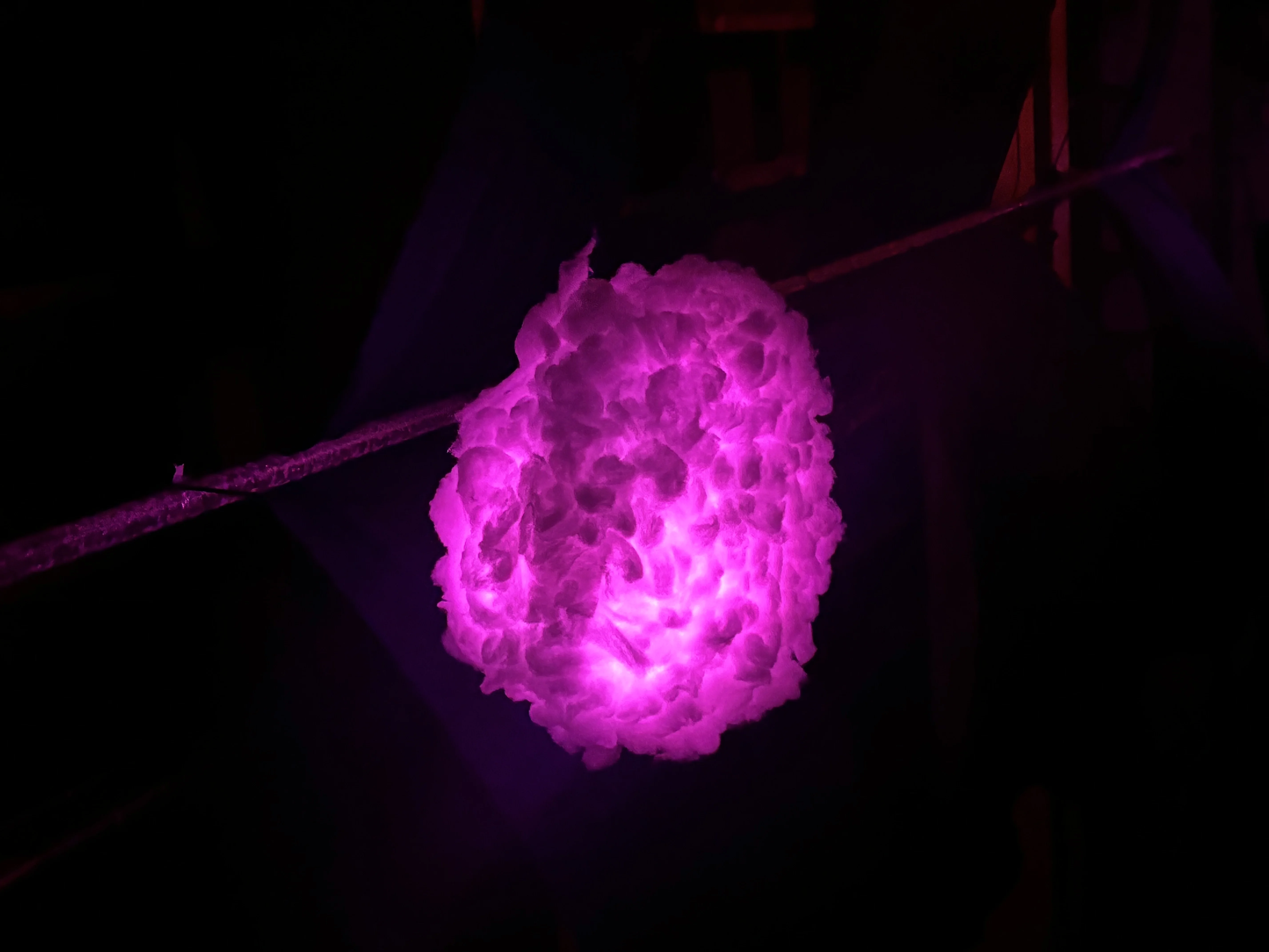 Rave 2 photo 17