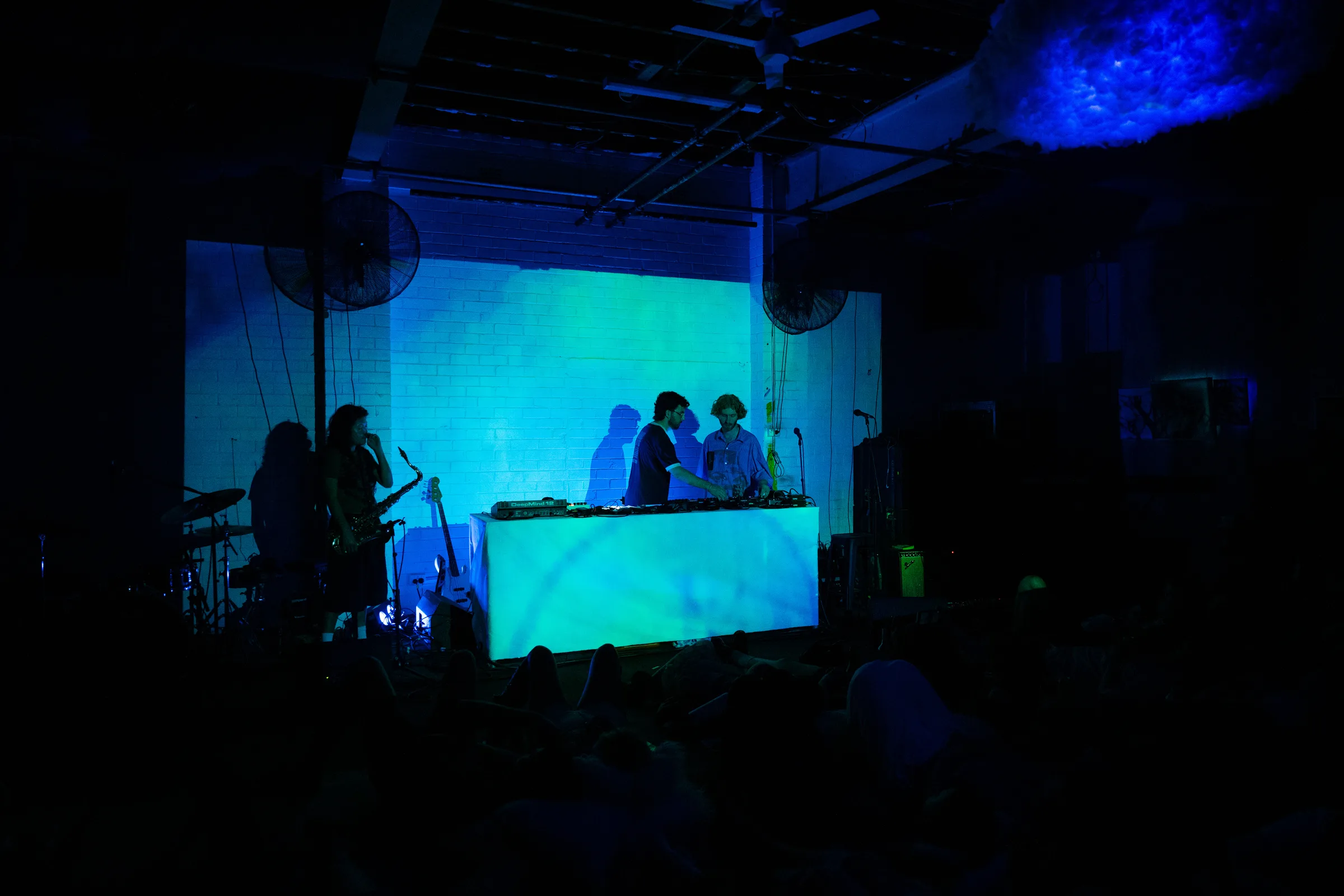 Asleep in a Field of Blue Launch photo 14