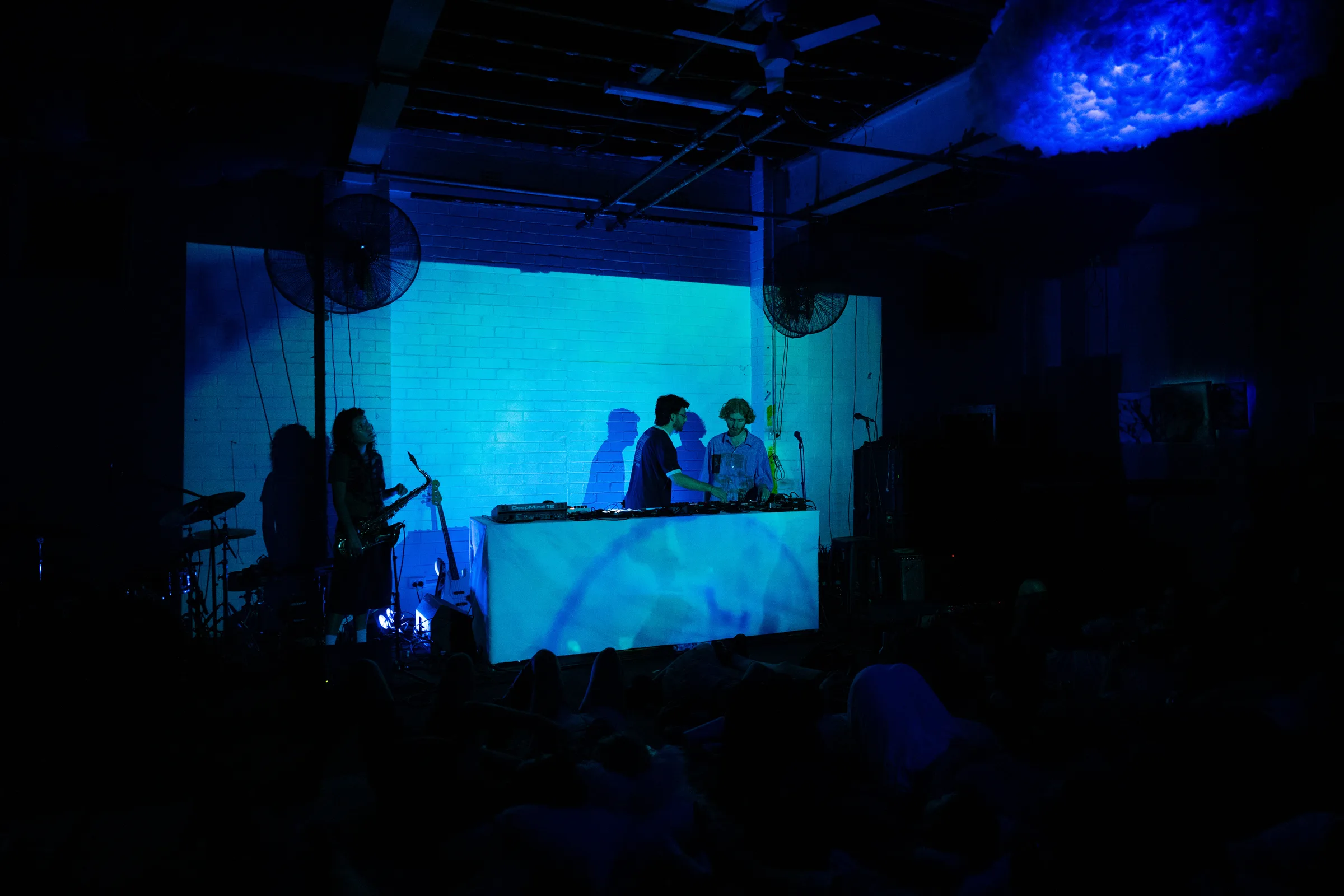 Asleep in a Field of Blue Launch photo 15