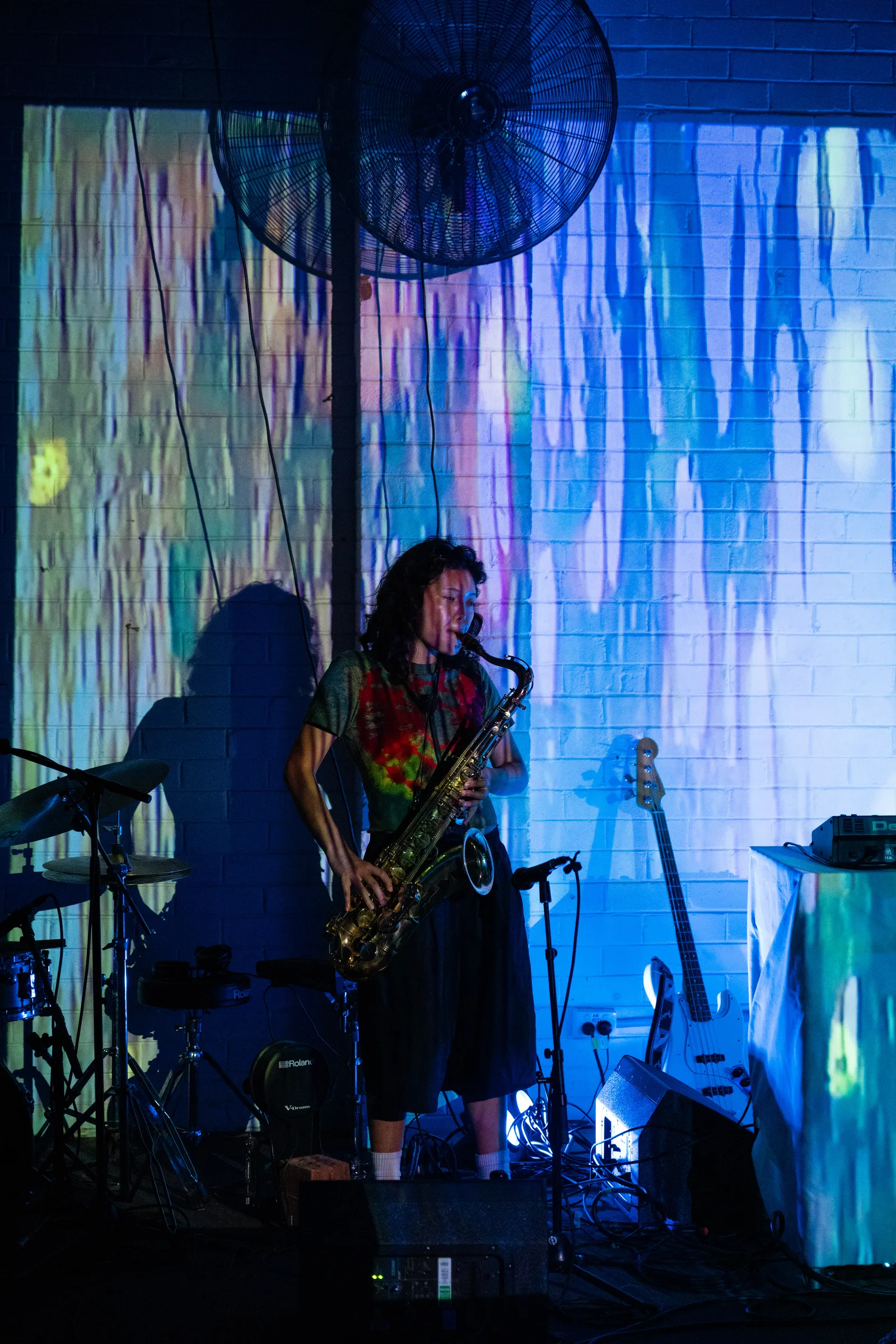 Asleep in a Field of Blue Launch photo 24