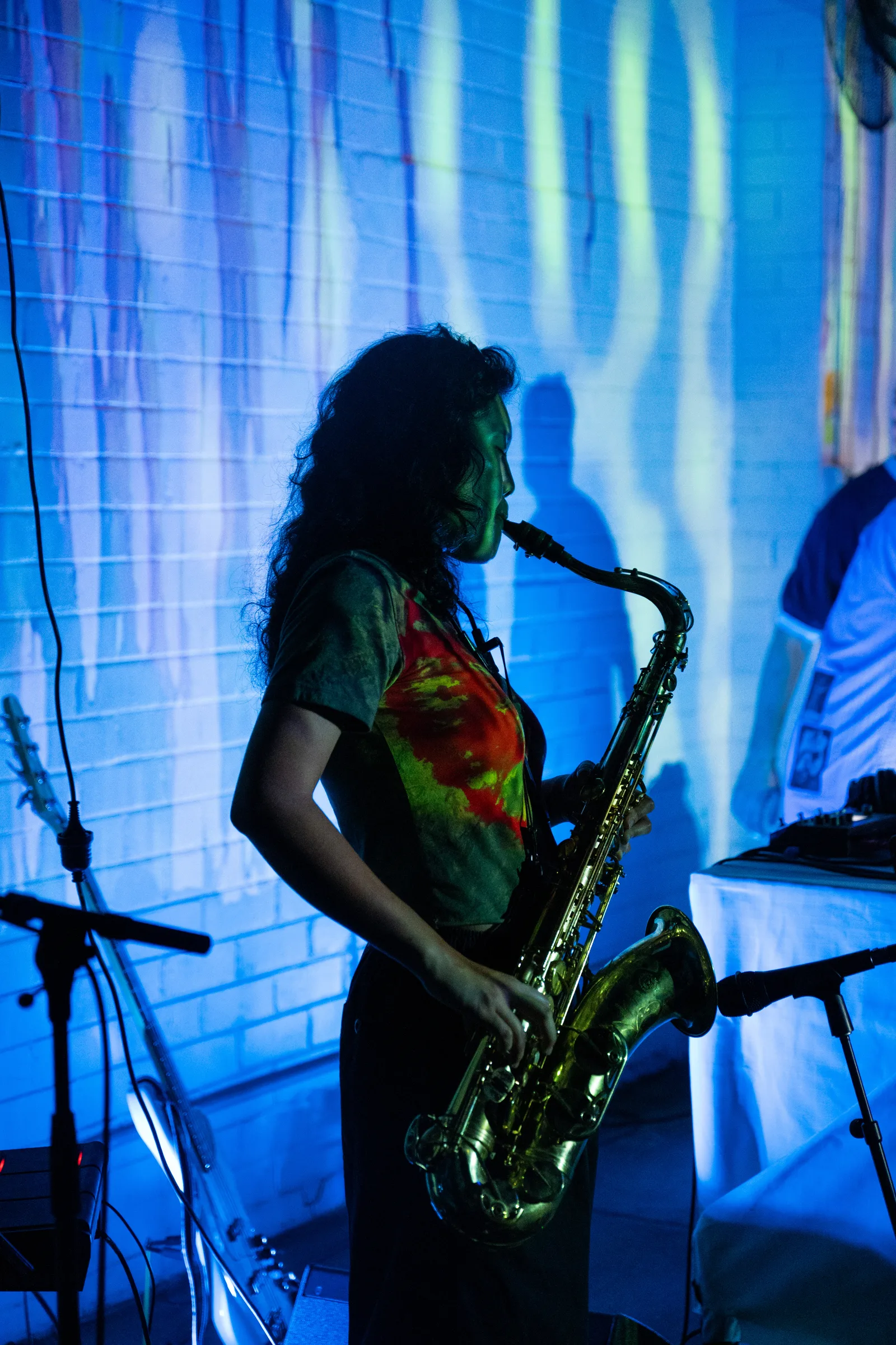 Asleep in a Field of Blue Launch photo 25