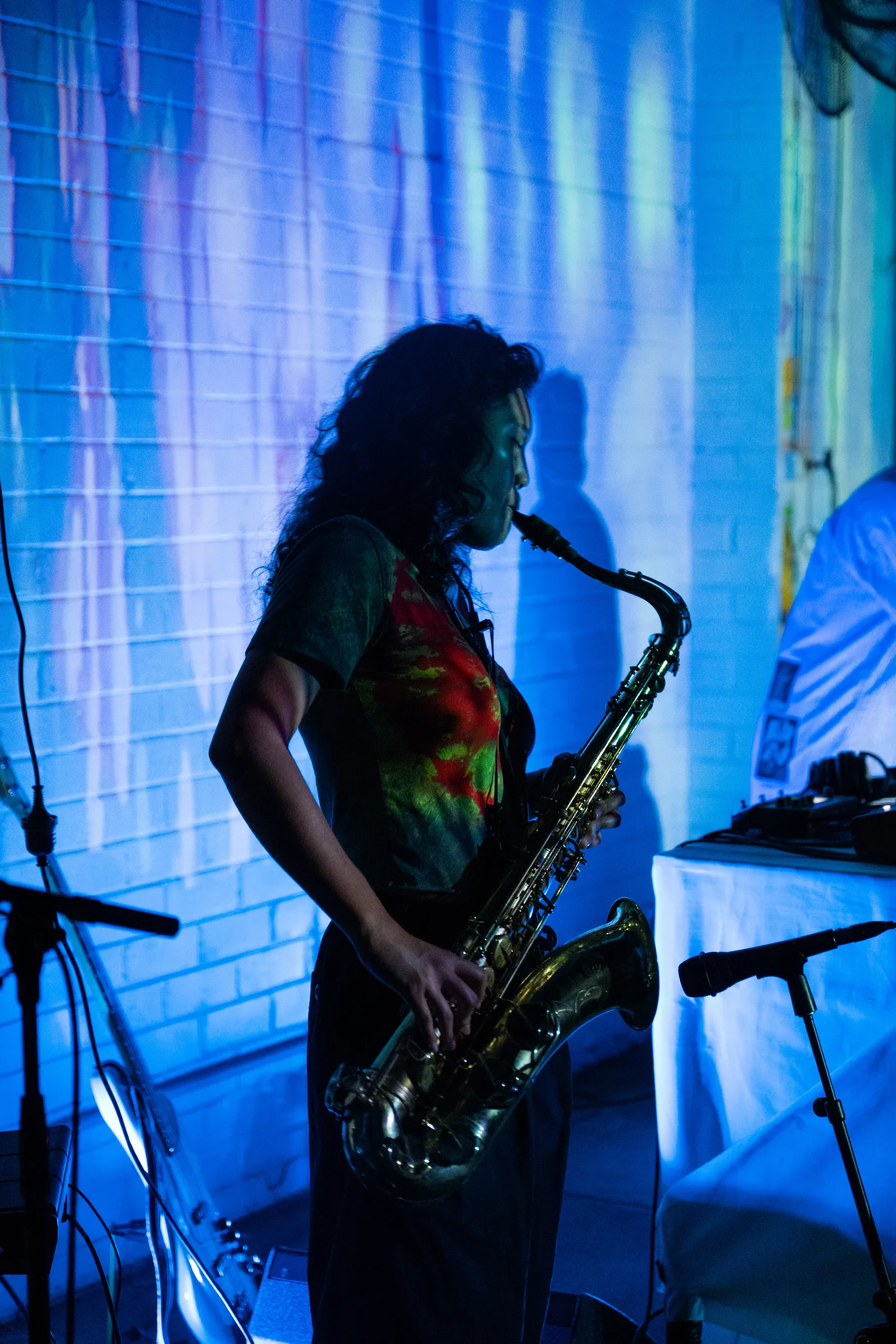 Asleep in a Field of Blue Launch photo 26