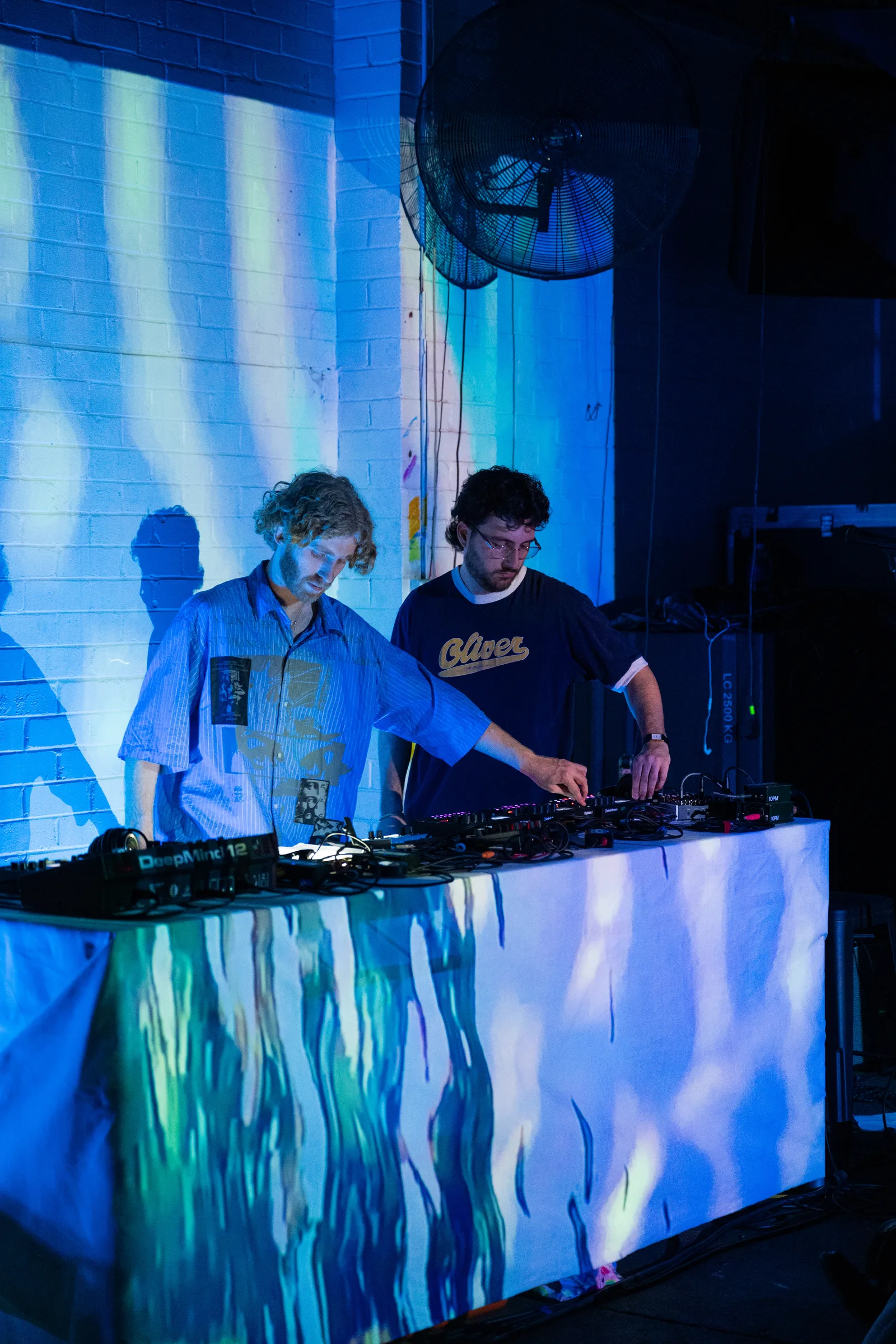 Asleep in a Field of Blue Launch photo 27