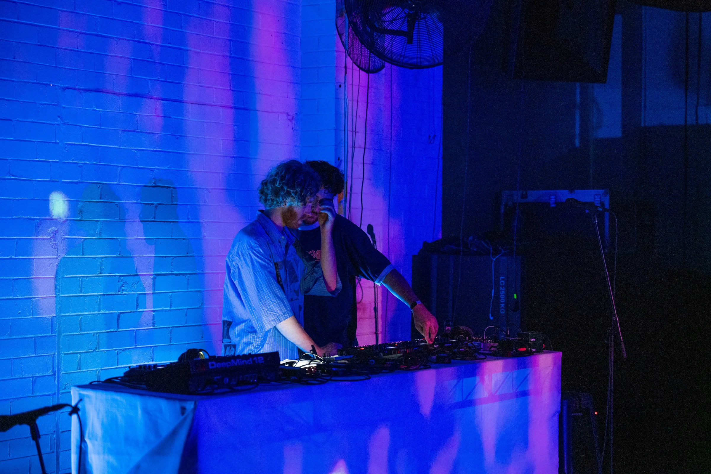 Asleep in a Field of Blue Launch photo 29