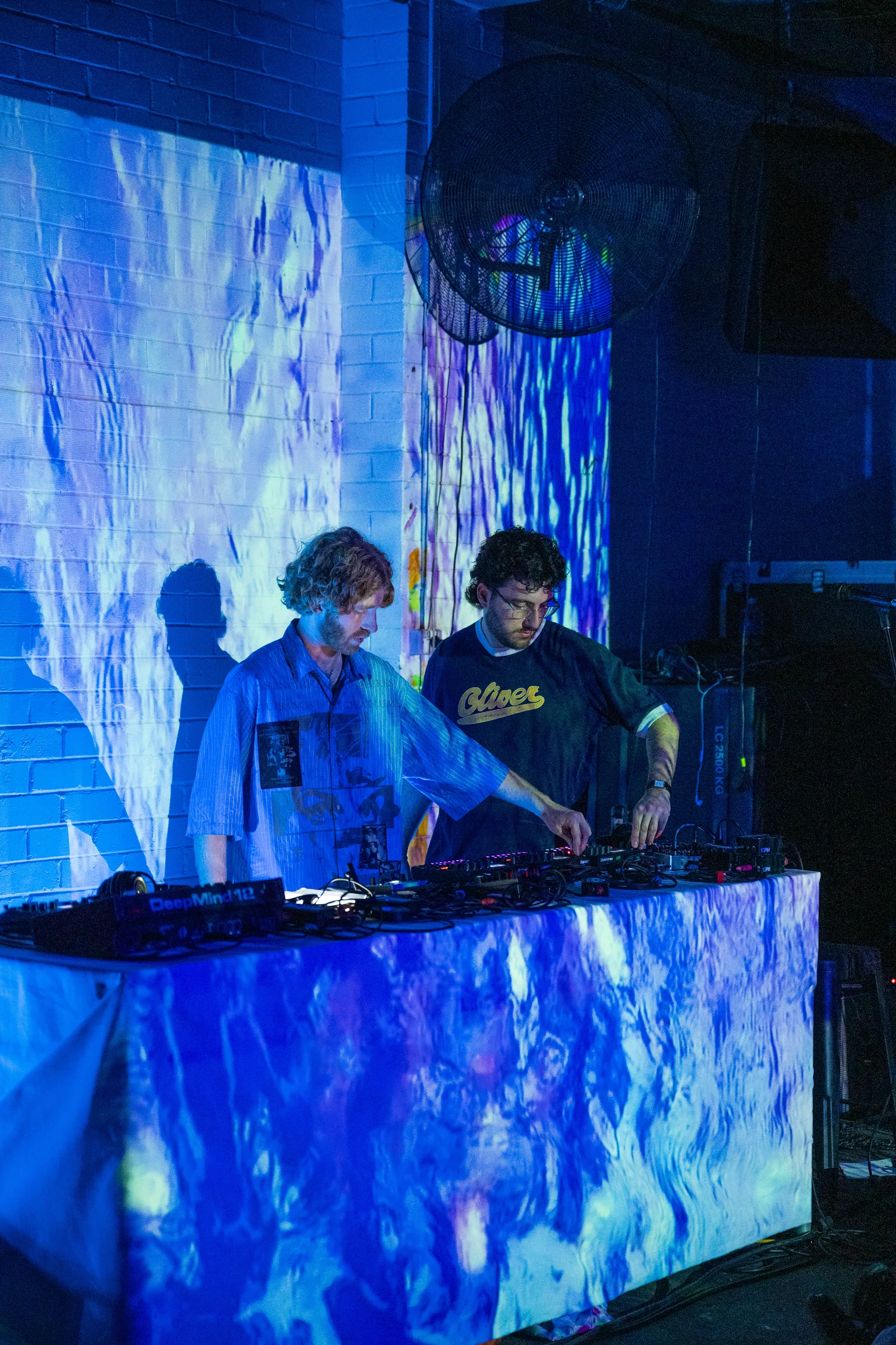 Asleep in a Field of Blue Launch photo 31