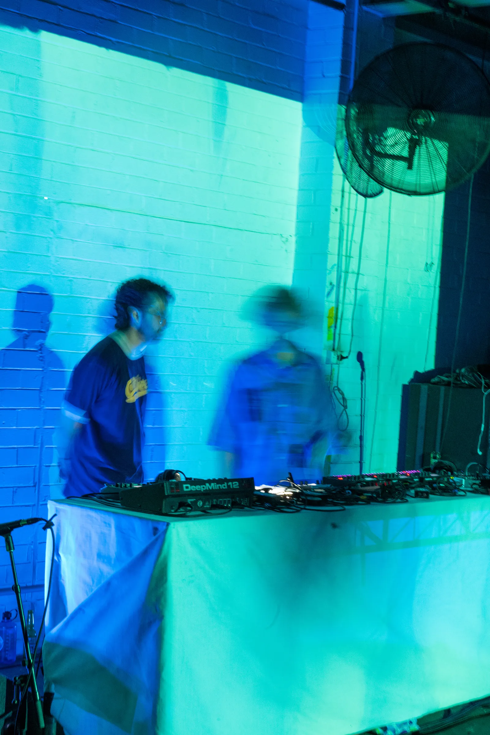 Asleep in a Field of Blue Launch photo 32