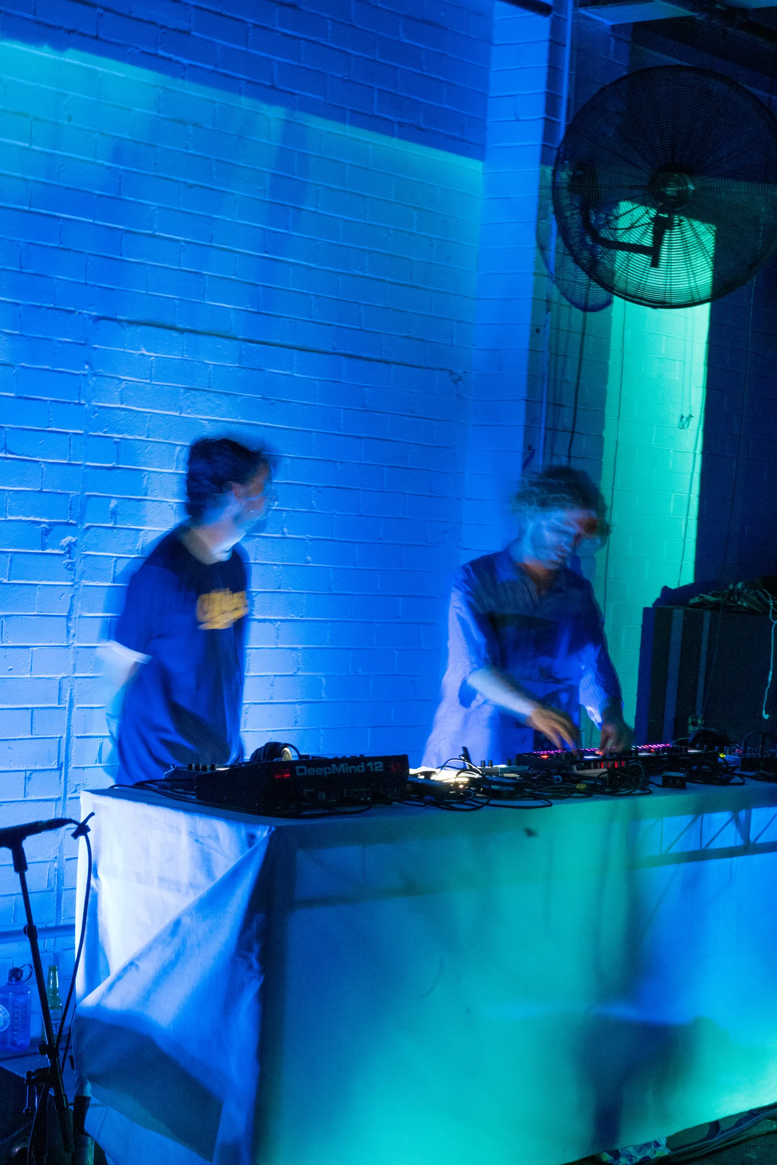 Asleep in a Field of Blue Launch photo 33