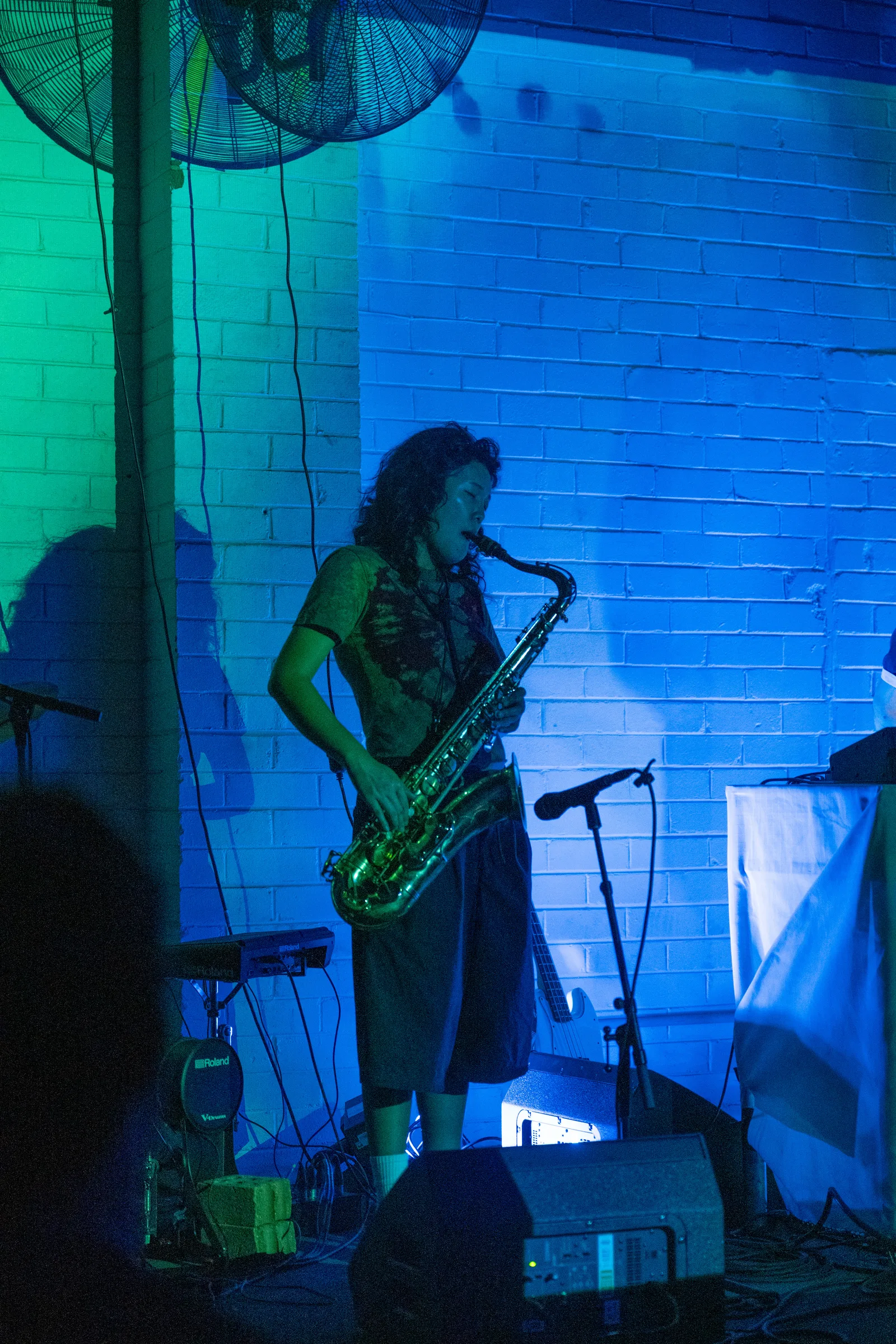 Asleep in a Field of Blue Launch photo 39