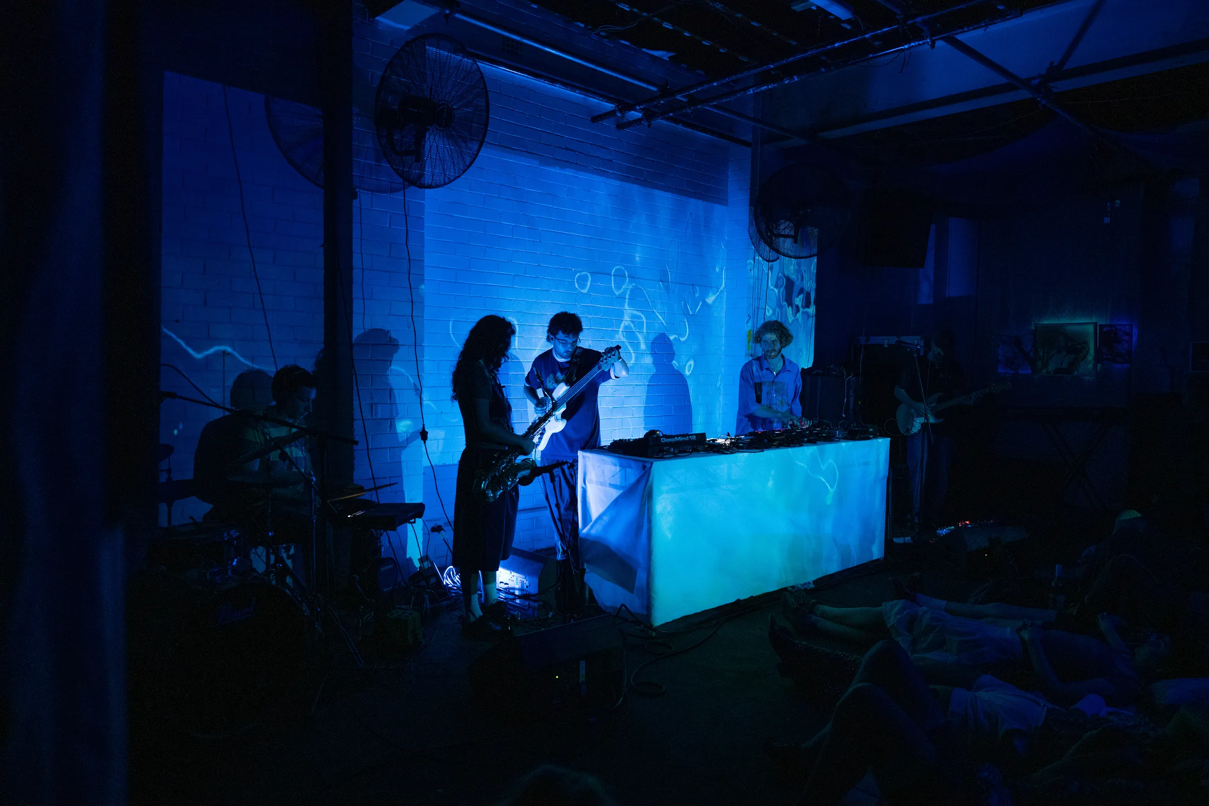 Asleep in a Field of Blue Launch photo 51