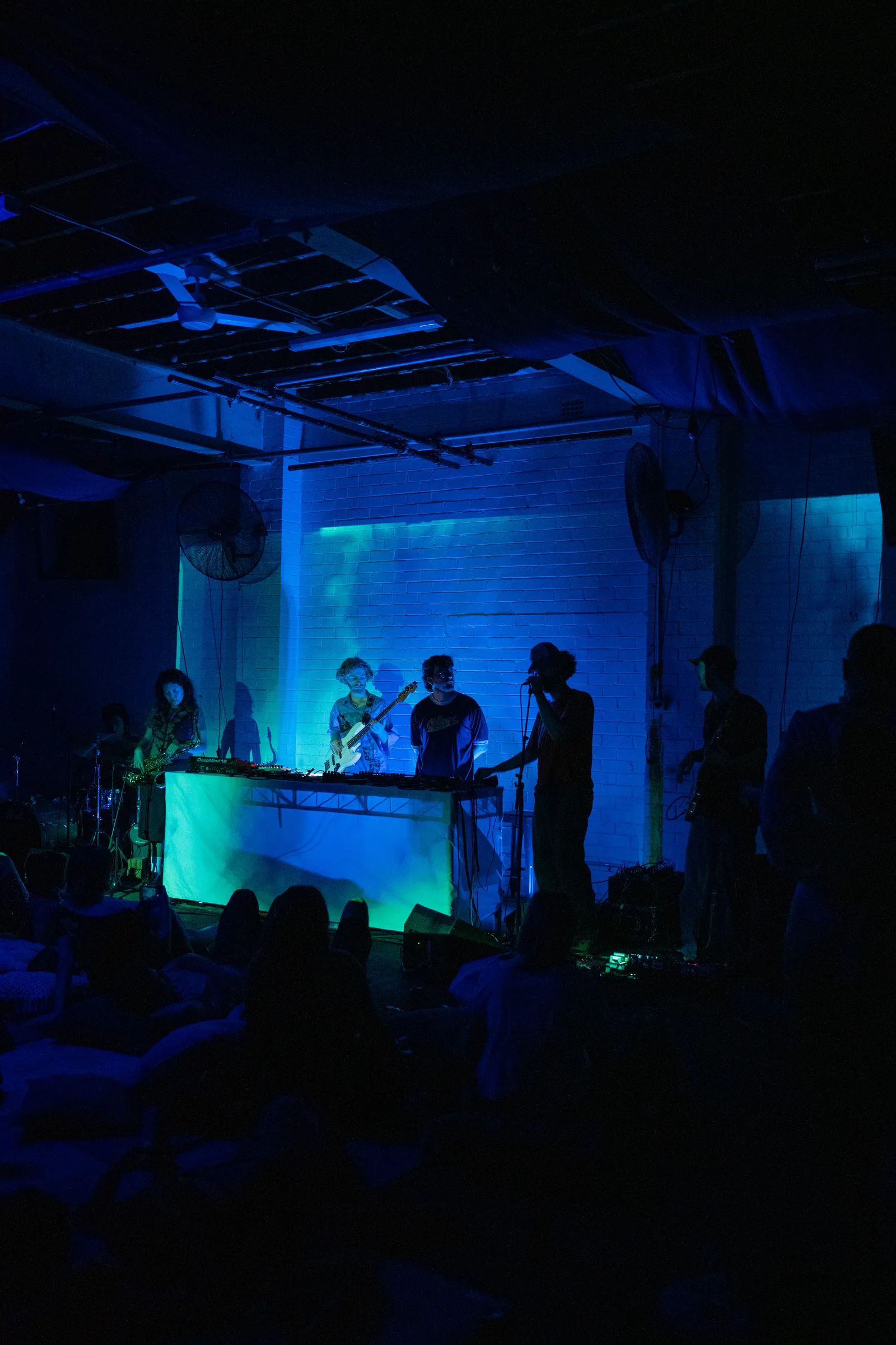 Asleep in a Field of Blue Launch photo 63