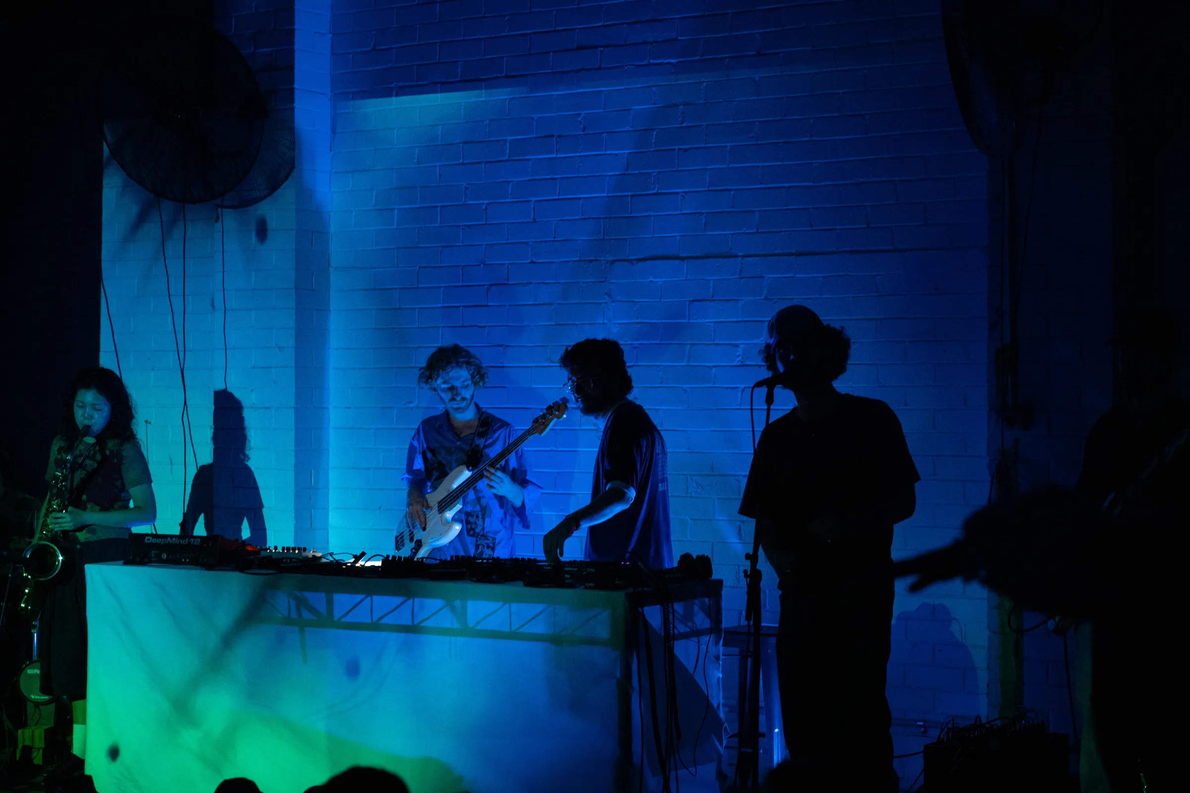 Asleep in a Field of Blue Launch photo 66