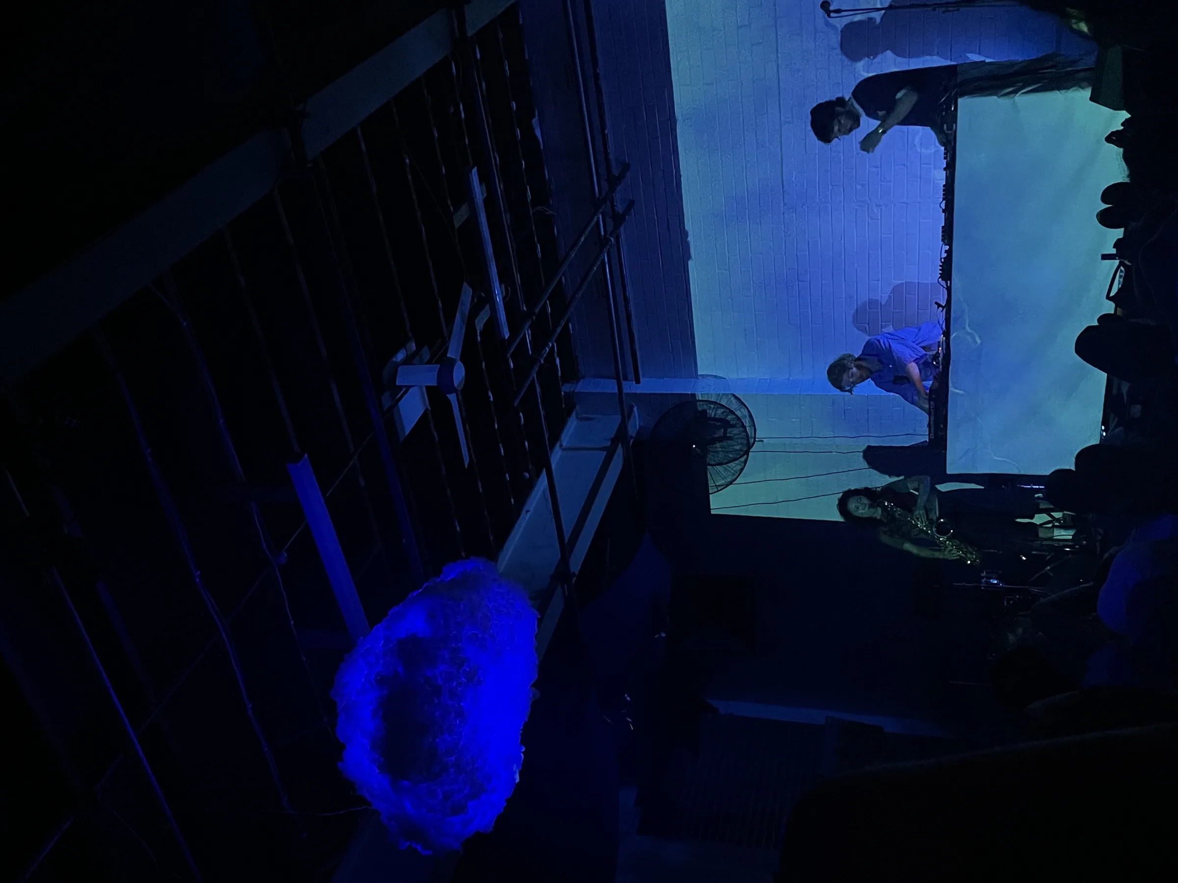 Asleep in a Field of Blue Launch photo 78