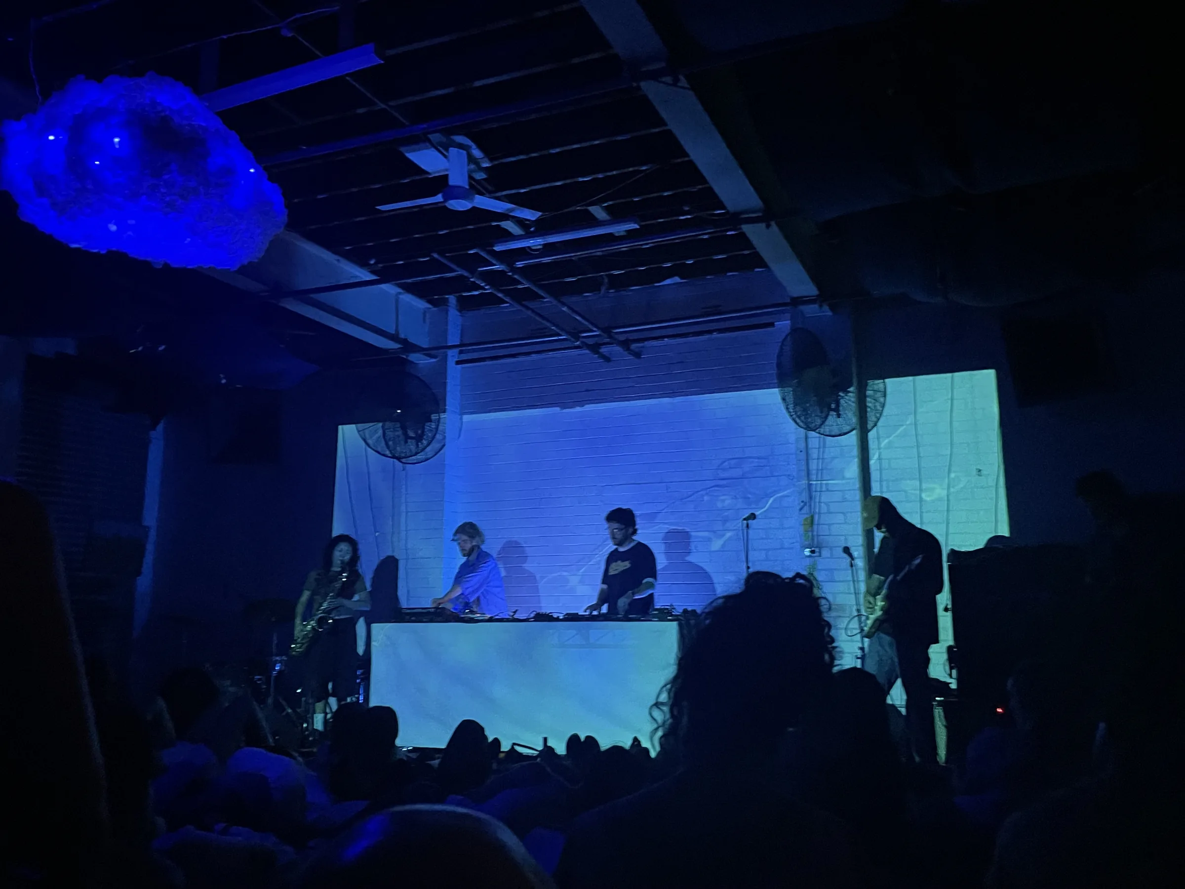 Asleep in a Field of Blue Launch photo 80