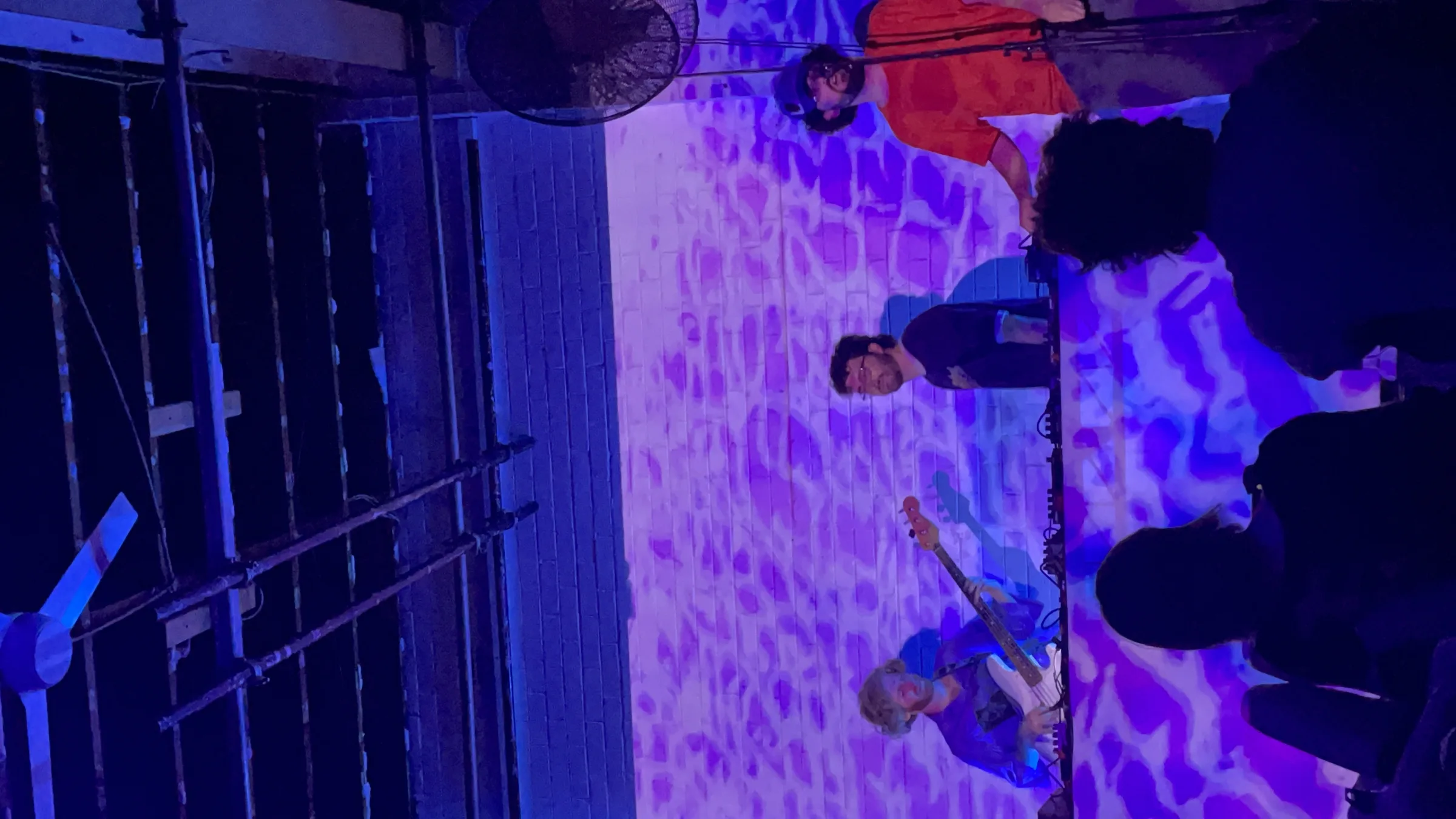 Asleep in a Field of Blue Launch photo 95