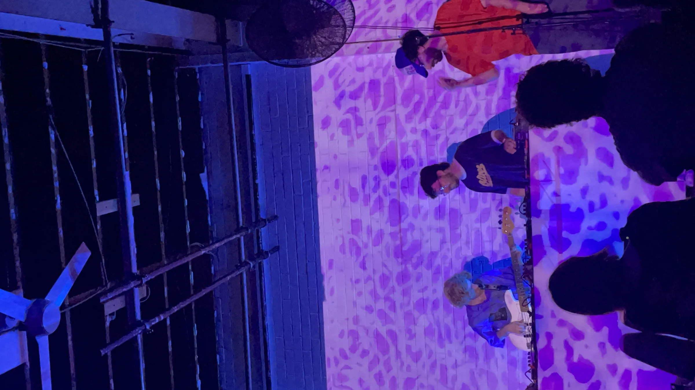 Asleep in a Field of Blue Launch photo 96