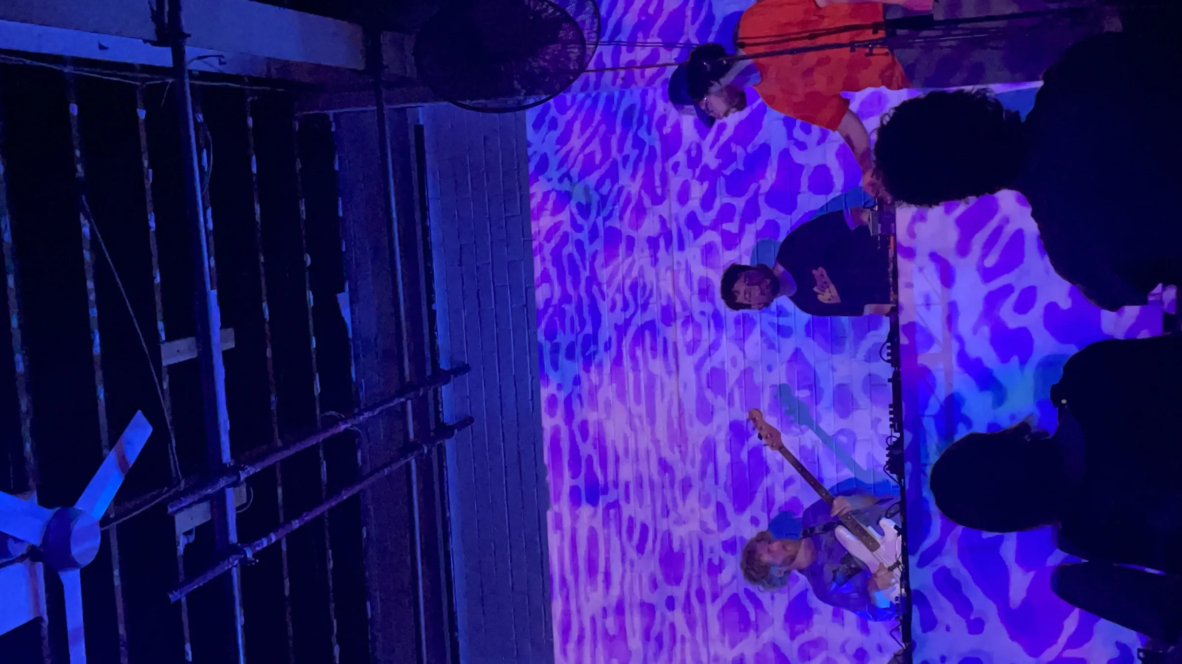 Asleep in a Field of Blue Launch photo 97