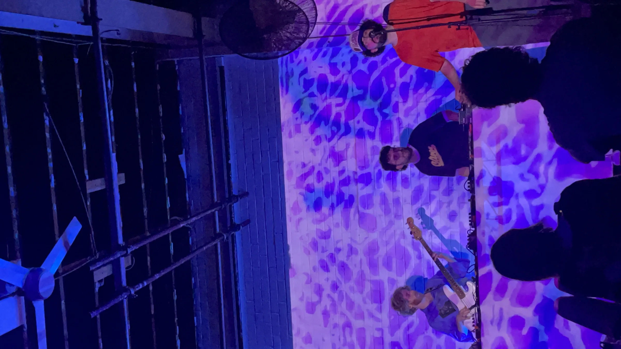 Asleep in a Field of Blue Launch photo 98