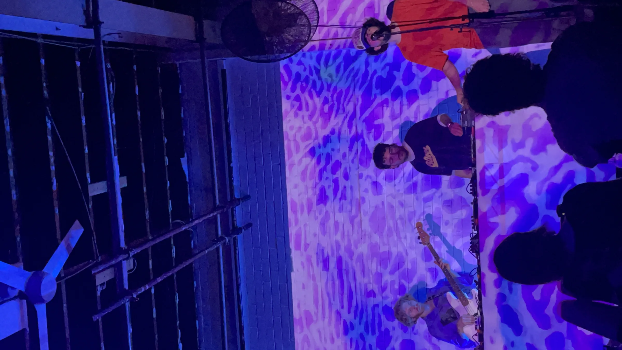 Asleep in a Field of Blue Launch photo 99