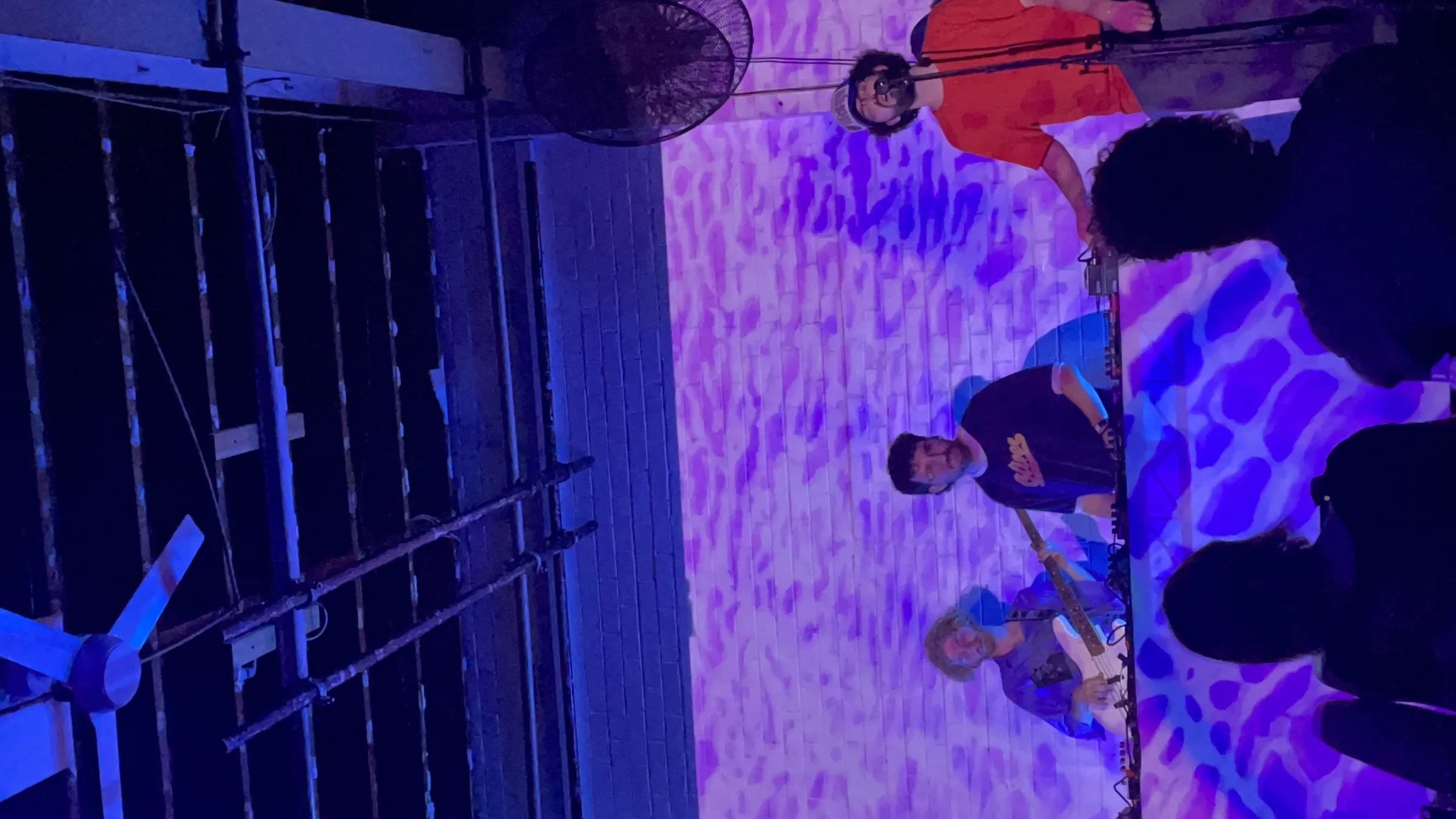 Asleep in a Field of Blue Launch photo 100