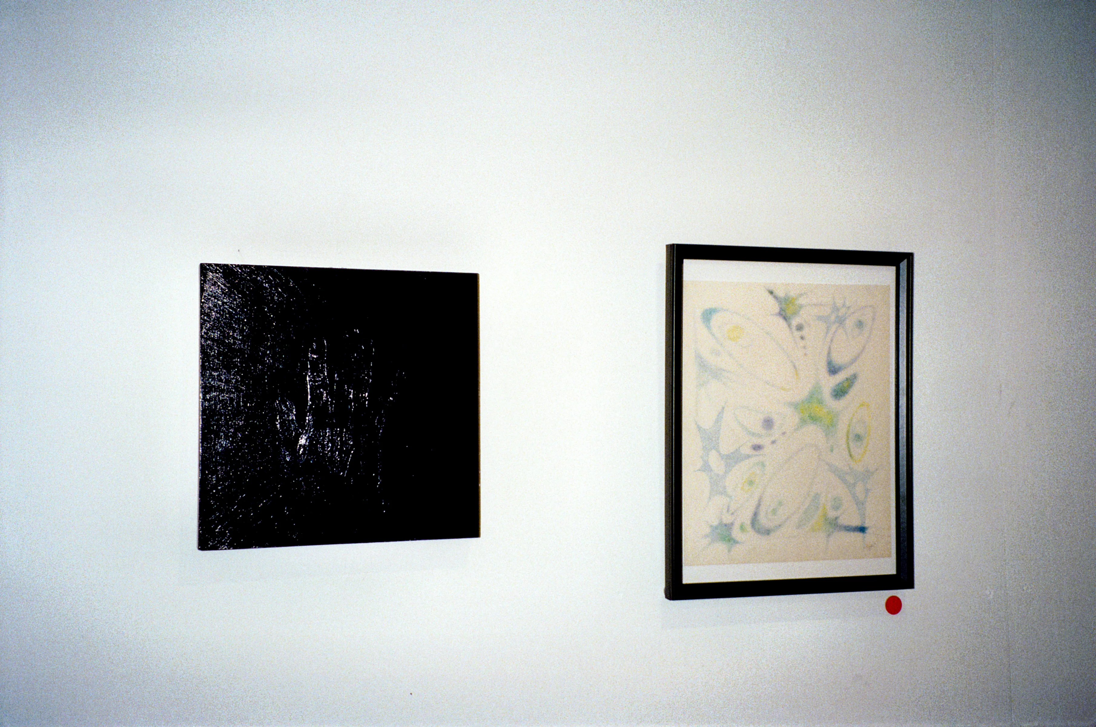 softgaze photo 15