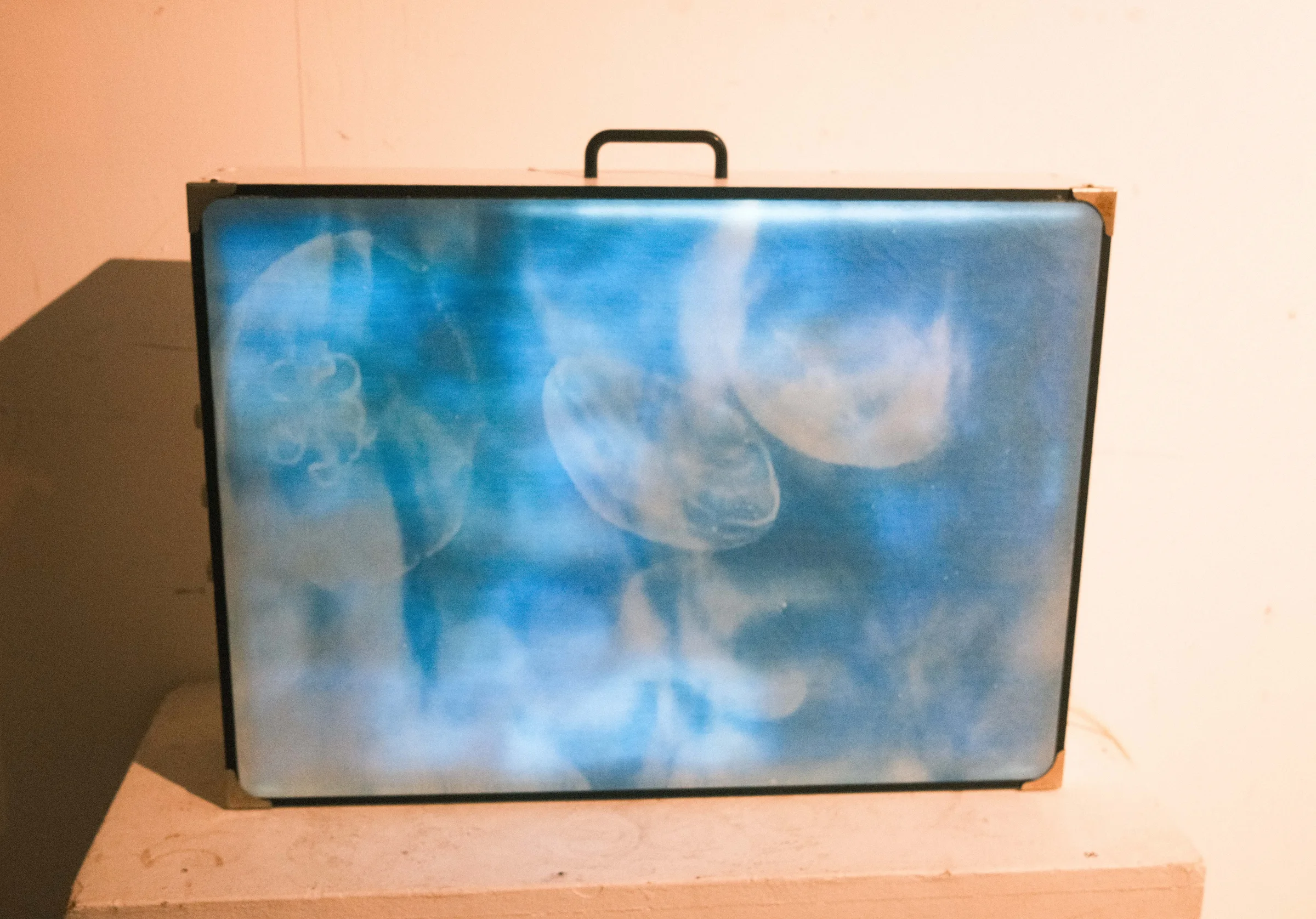 Waiting for the Captain photo 49