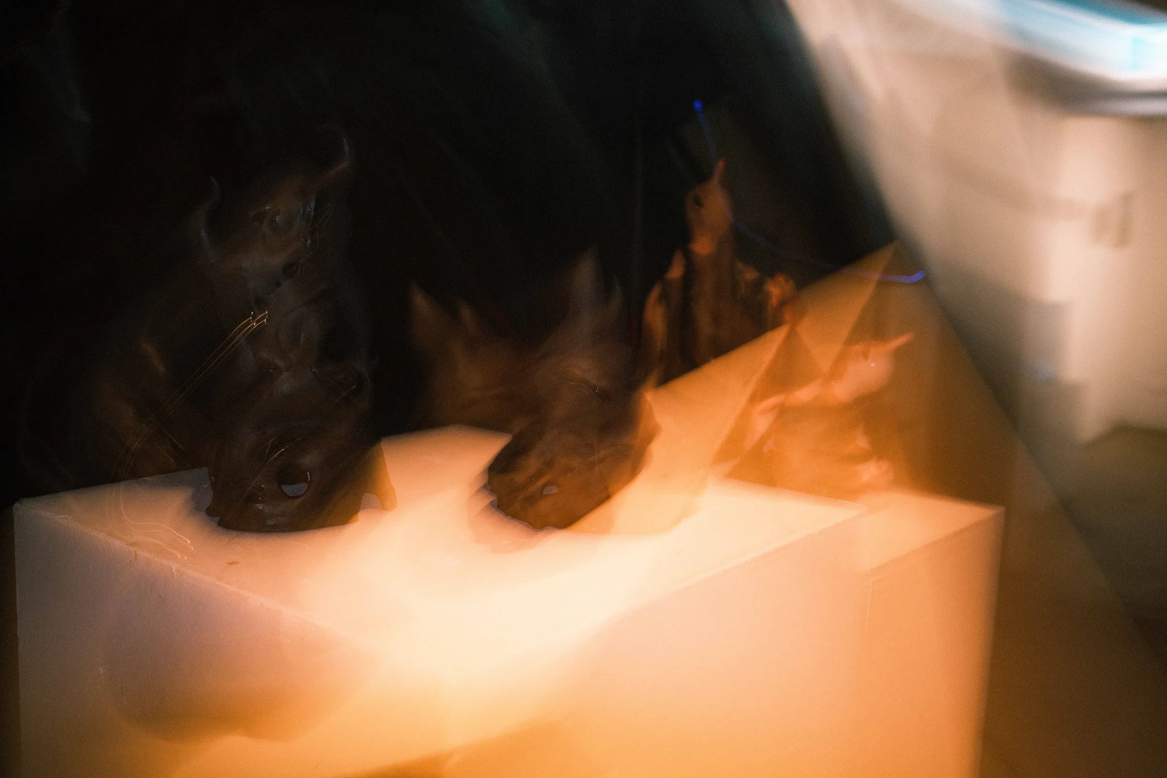 Waiting for the Captain photo 68